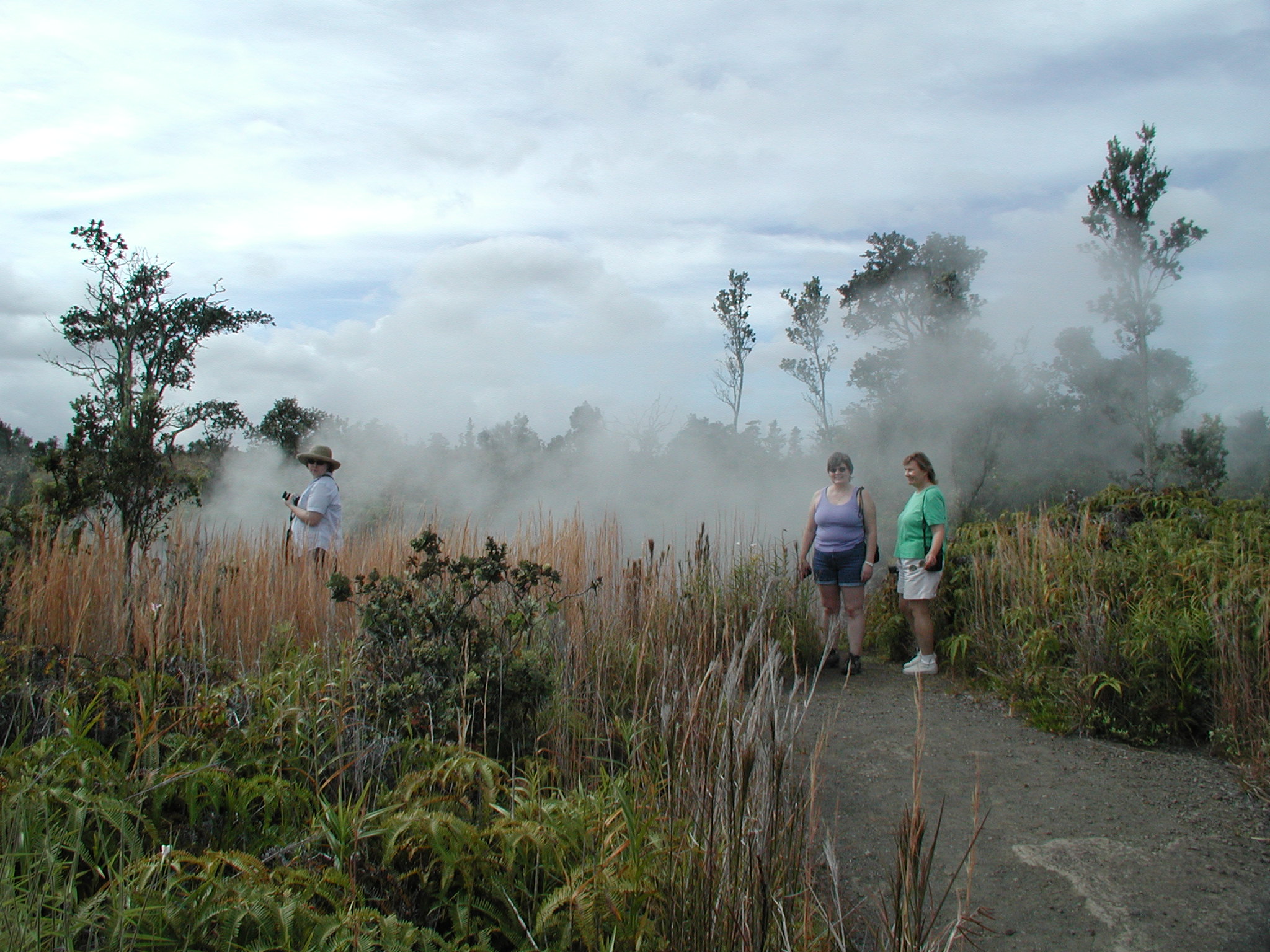 Steam vents