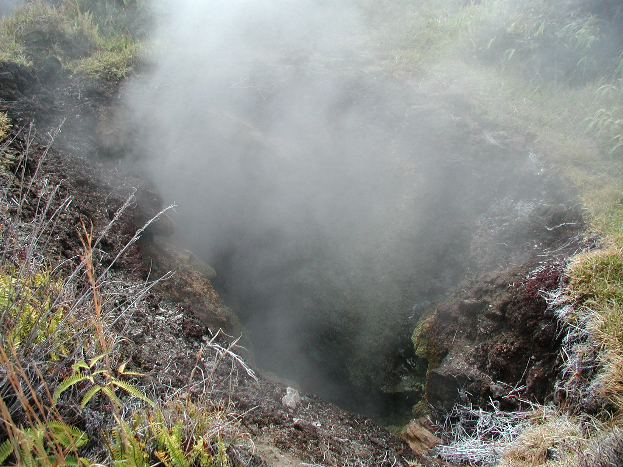 Looking down a steam ven