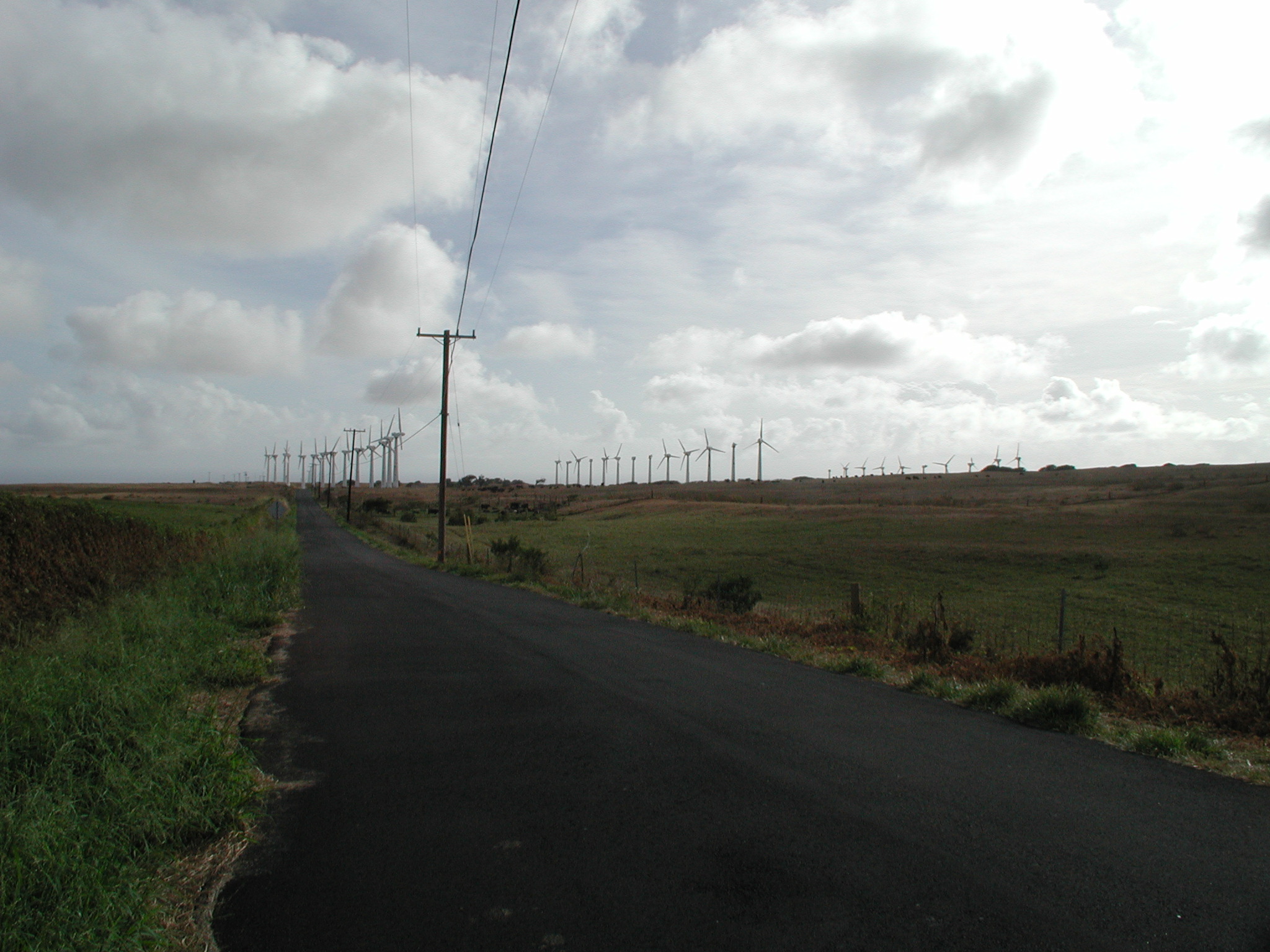 Lots of windmills, no power