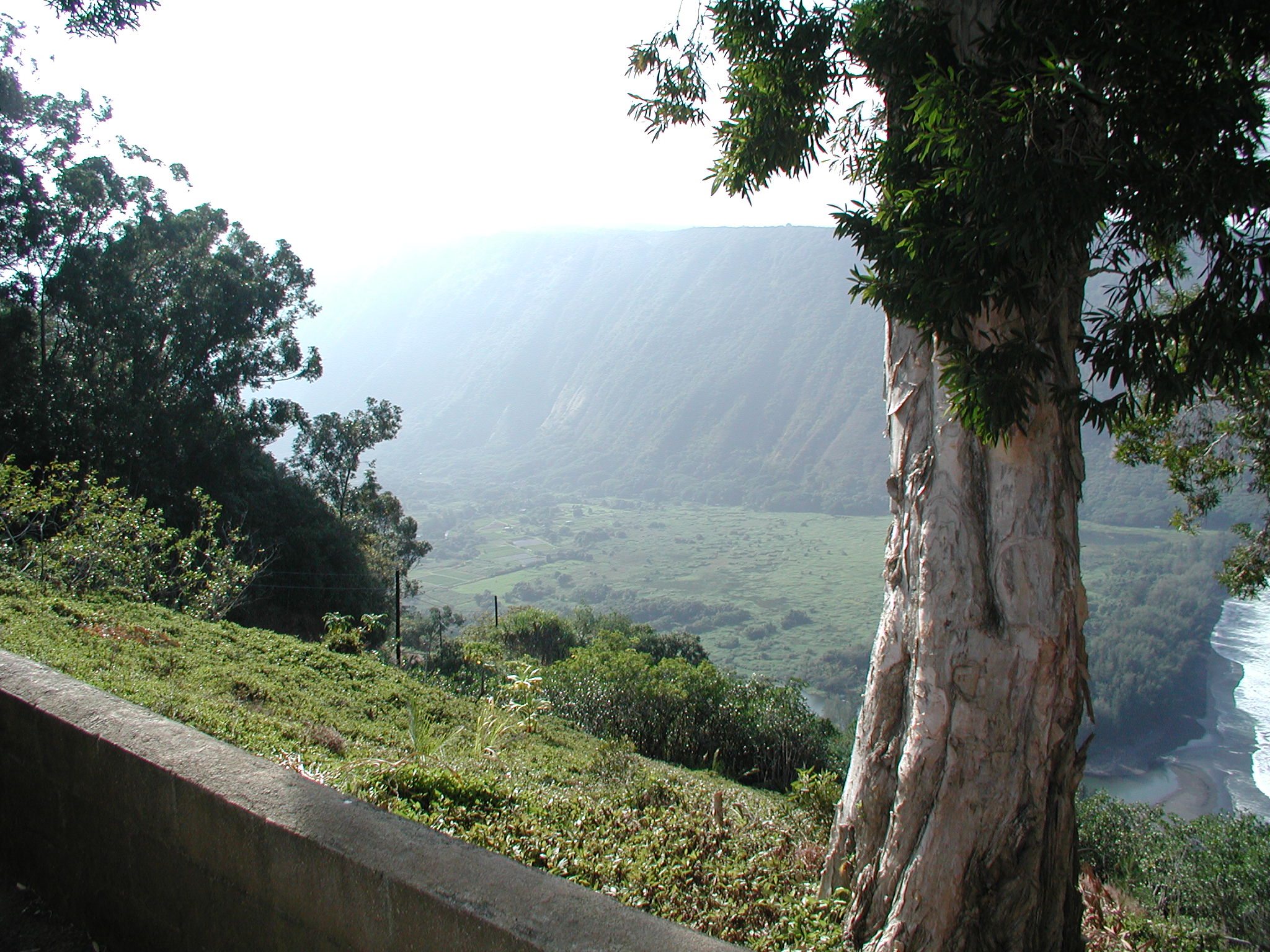 The Waipio Valley